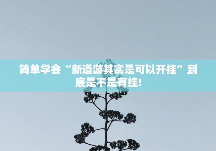 简单学会“新道游其实是可以开挂”到底是不是有挂!