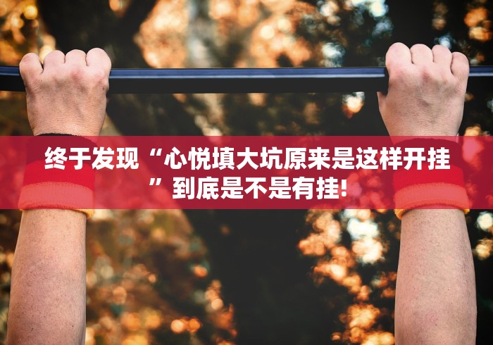 终于发现“心悦填大坑原来是这样开挂”到底是不是有挂!