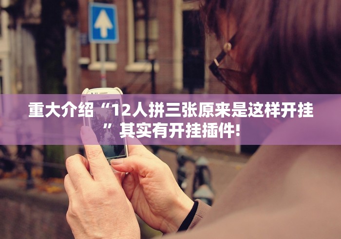 重大介绍“12人拼三张原来是这样开挂”其实有开挂插件!