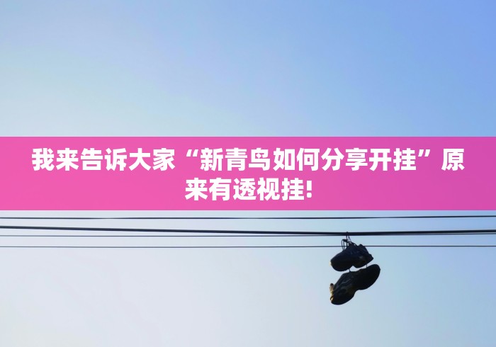 我来告诉大家“新青鸟如何分享开挂”原来有透视挂!