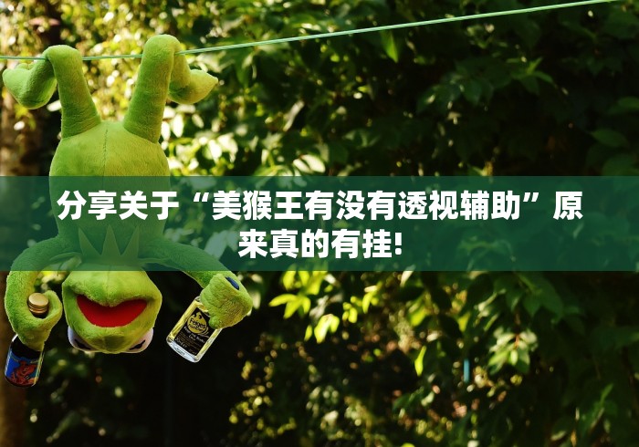 分享关于“美猴王有没有透视辅助”原来真的有挂!