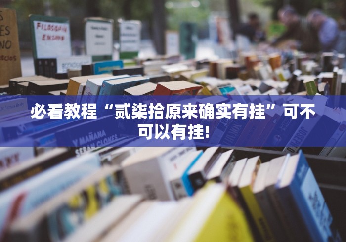 必看教程“贰柒拾原来确实有挂”可不可以有挂!