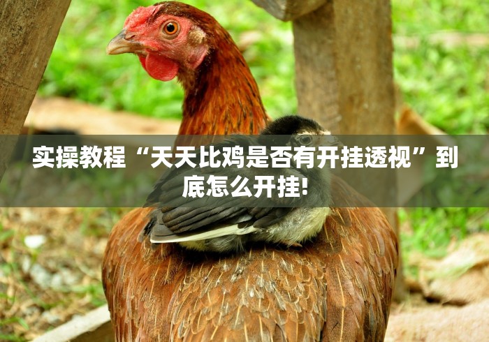 实操教程“天天比鸡是否有开挂透视”到底怎么开挂!