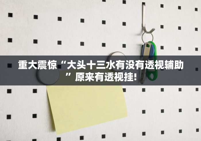 重大震惊“大头十三水有没有透视辅助”原来有透视挂! 重大震惊“大头十三水有没有透视辅助”原来有透视挂!