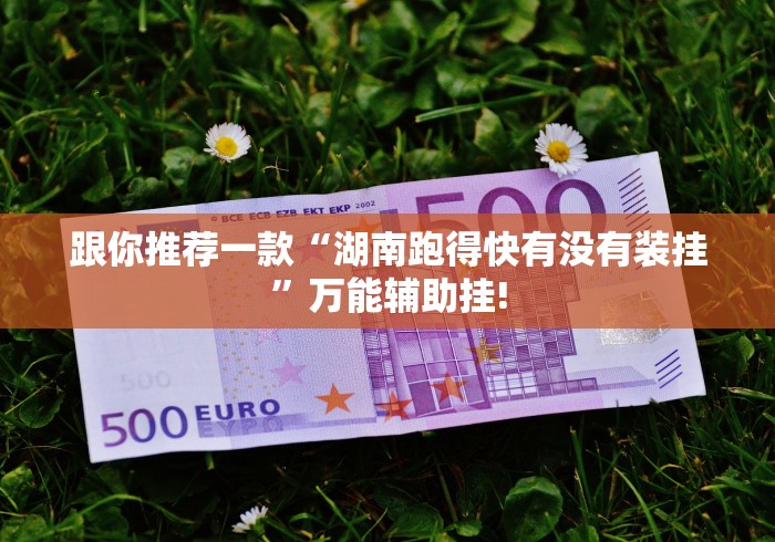 跟你推荐一款“湖南跑得快有没有装挂”万能辅助挂!