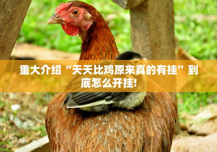 总算知道“慧星娱乐真的可以开挂”万能辅助挂!