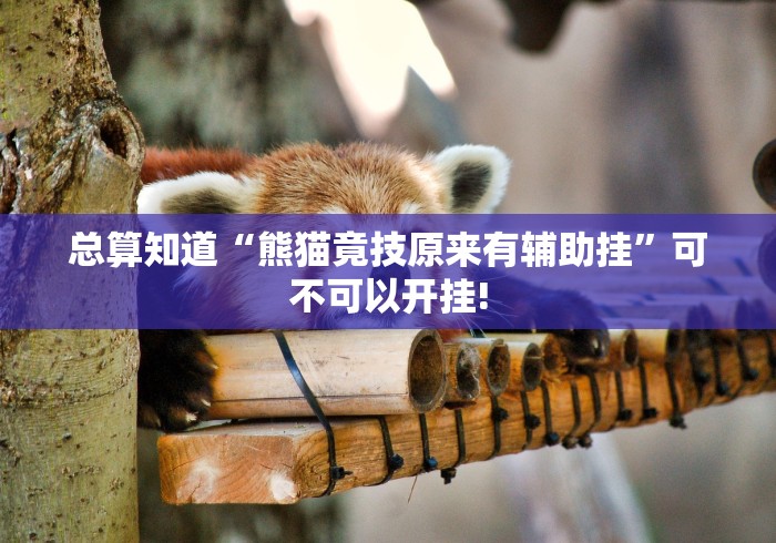 总算知道“熊猫竟技原来有辅助挂”可不可以开挂!