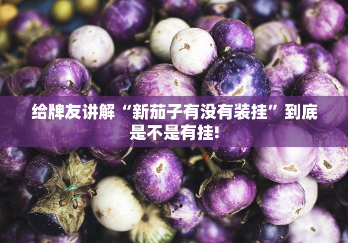 给牌友讲解“新茄子有没有装挂”到底是不是有挂! 给牌友讲解“新茄子有没有装挂”到底是不是有挂!