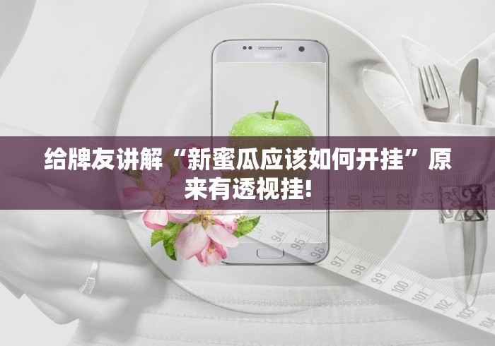 给牌友讲解“新蜜瓜应该如何开挂”原来有透视挂!