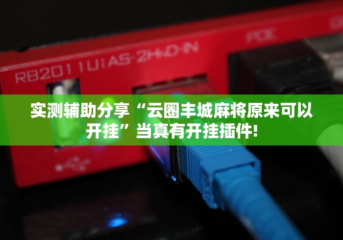 实测辅助分享“云圈丰城麻将原来可以开挂”当真有开挂插件!