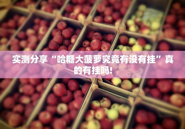 实测分享“哈糖大菠萝究竟有没有挂”真的有挂吗! 实测分享“哈糖大菠萝究竟有没有挂”真的有挂吗!