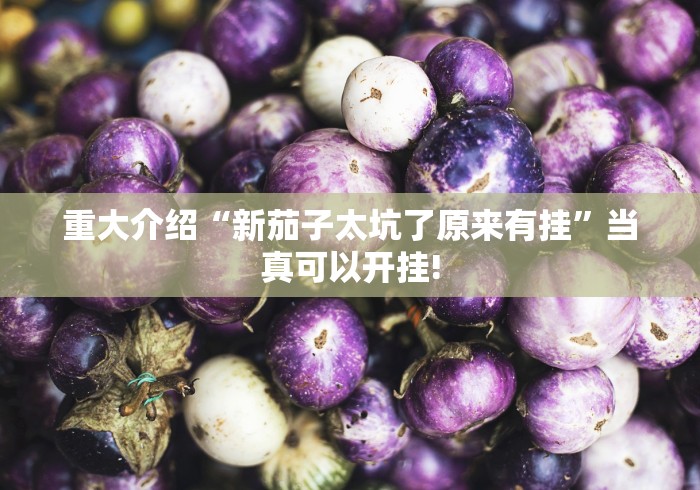 实操教程“丫丫古诗有没有透视开挂教程”当真有测试挂! 实操教程“丫丫古诗有没有透视开挂教程”当真有测试挂!