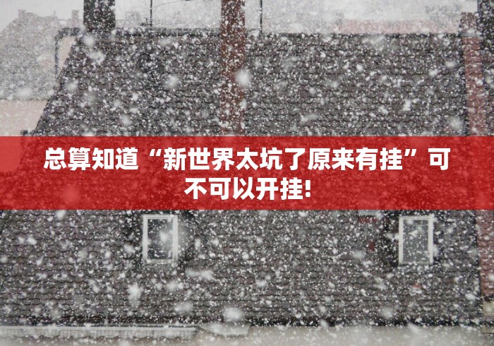 总算知道“新世界太坑了原来有挂”可不可以开挂!