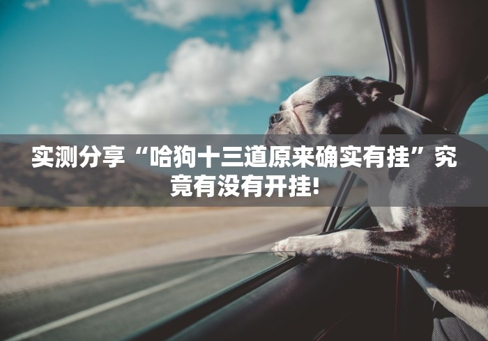 实测分享“哈狗十三道原来确实有挂”究竟有没有开挂!