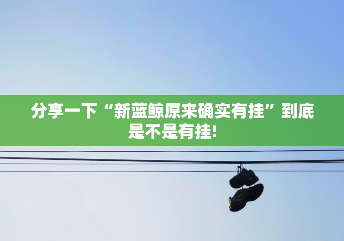 分享一下“新蓝鲸原来确实有挂”到底是不是有挂!
