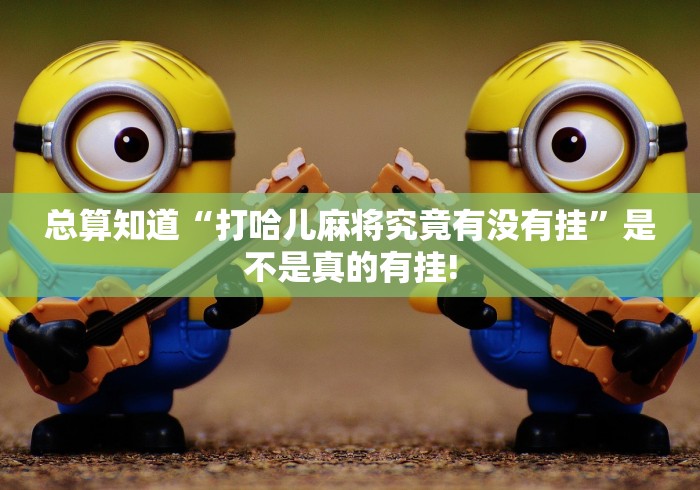 总算知道“打哈儿麻将究竟有没有挂”是不是真的有挂!