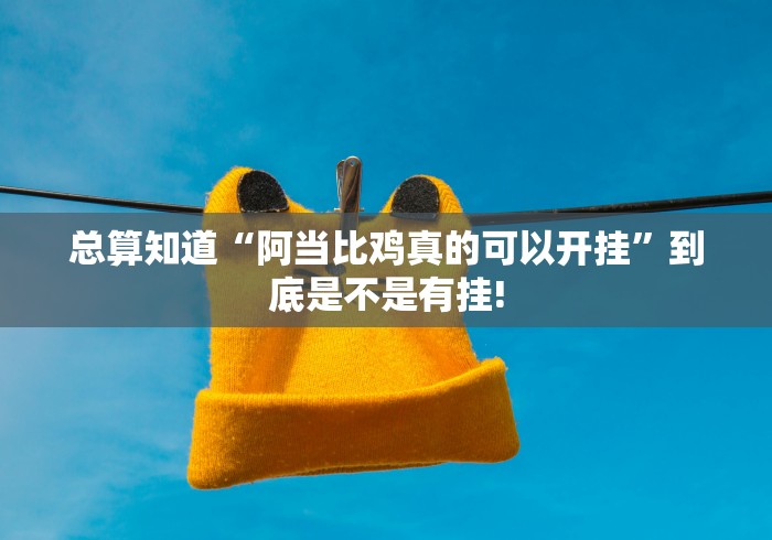 总算知道“阿当比鸡真的可以开挂”到底是不是有挂!