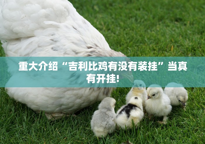 重大介绍“吉利比鸡有没有装挂”当真有开挂!