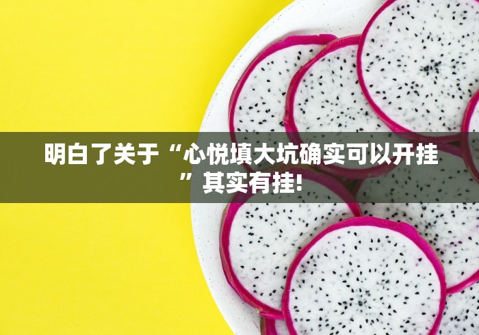 明白了关于“心悦填大坑确实可以开挂”其实有挂!