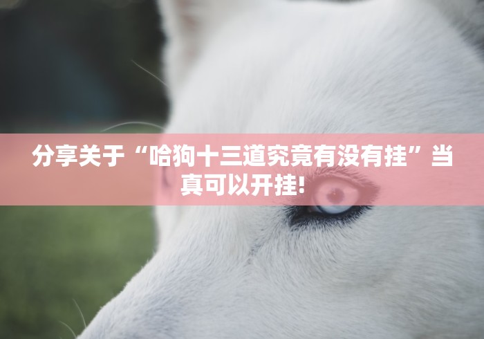 分享关于“哈狗十三道究竟有没有挂”当真可以开挂!