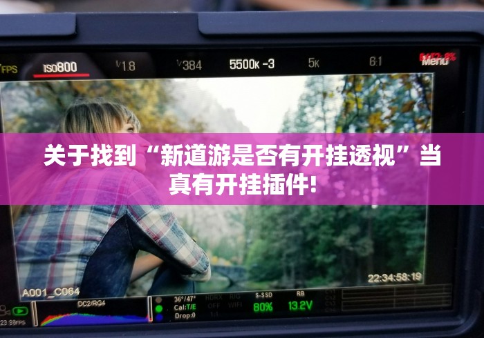 关于找到“新道游是否有开挂透视”当真有开挂插件!