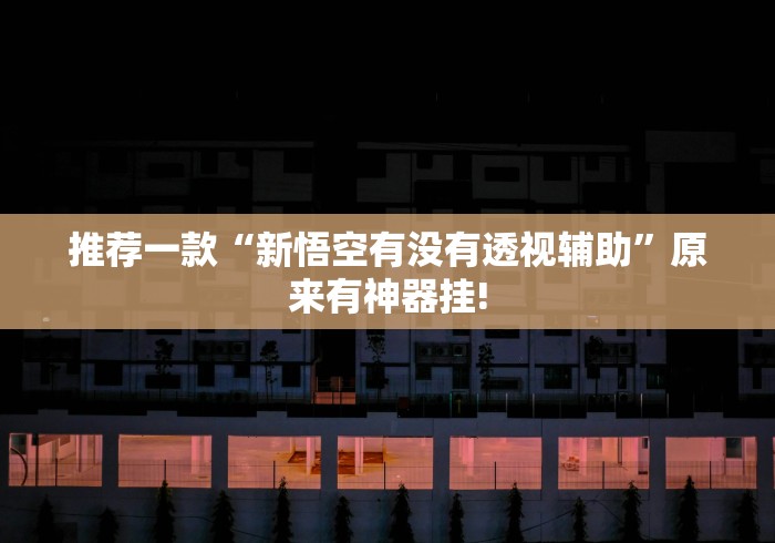 推荐一款“新悟空有没有透视辅助”原来有神器挂!