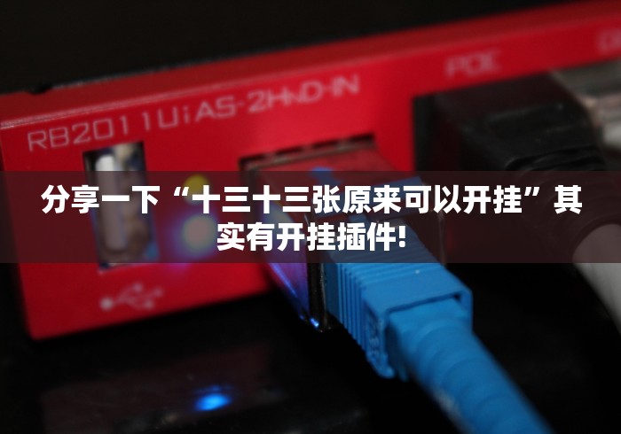 分享一下“十三十三张原来可以开挂”其实有开挂插件!