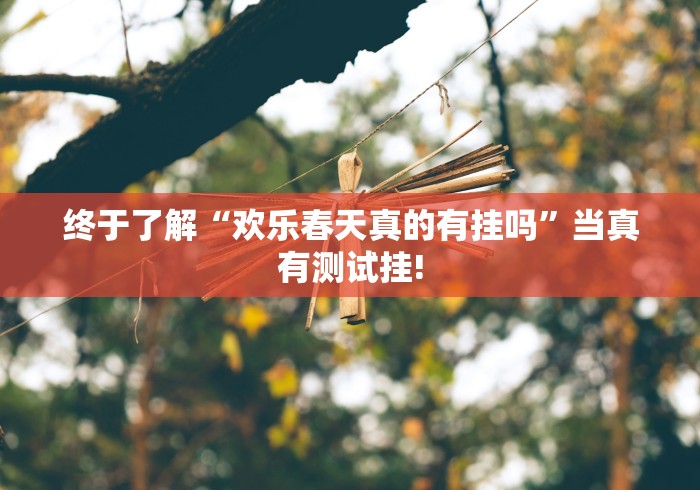 终于了解“欢乐春天真的有挂吗”当真有测试挂!