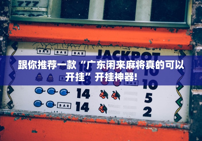 跟你推荐一款“广东闲来麻将真的可以开挂”开挂神器!