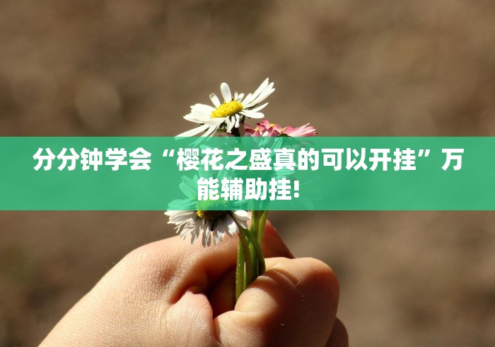分分钟学会“樱花之盛真的可以开挂”万能辅助挂!