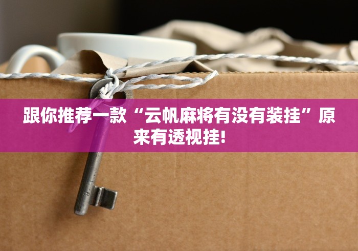 跟你推荐一款“云帆麻将有没有装挂”原来有透视挂!