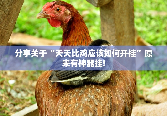 分享关于“天天比鸡应该如何开挂”原来有神器挂!