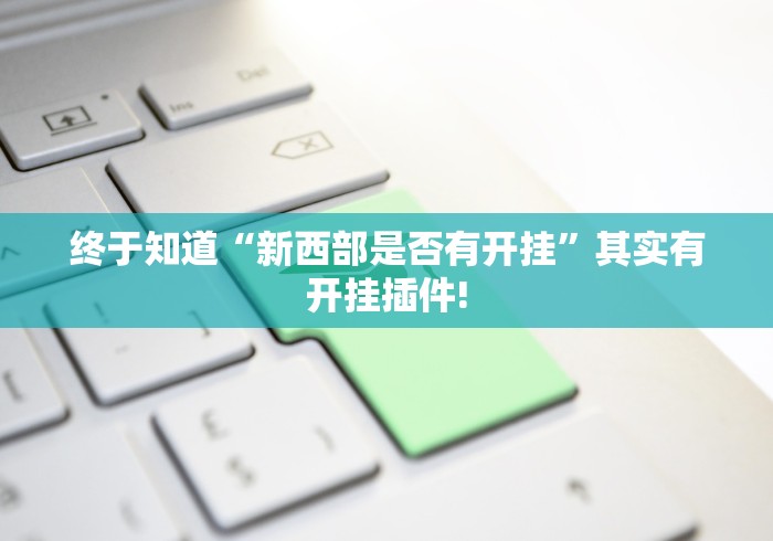 终于知道“新西部是否有开挂”其实有开挂插件!