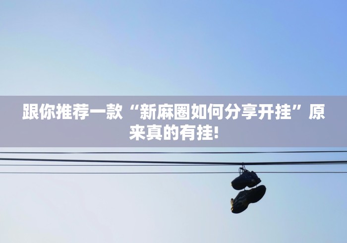 跟你推荐一款“新麻圈如何分享开挂”原来真的有挂!