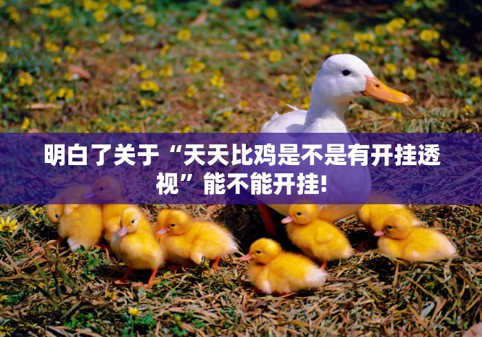 明白了关于“天天比鸡是不是有开挂透视”能不能开挂!