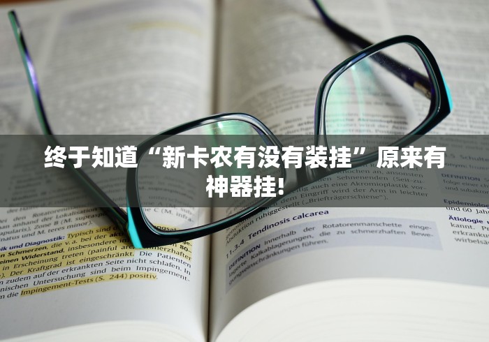 终于知道“新卡农有没有装挂”原来有神器挂! 终于知道“新卡农有没有装挂”原来有神器挂!