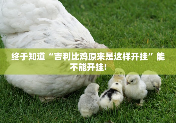 终于知道“吉利比鸡原来是这样开挂”能不能开挂! 终于知道“吉利比鸡原来是这样开挂”能不能开挂!