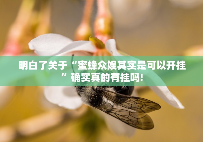 明白了关于“蜜蜂众娱其实是可以开挂”确实真的有挂吗!