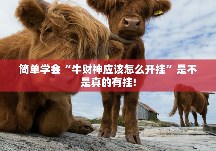 简单学会“牛财神应该怎么开挂”是不是真的有挂!