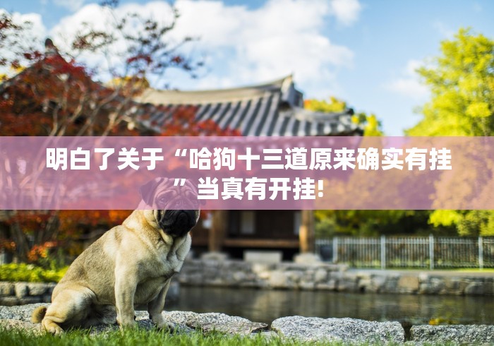 明白了关于“哈狗十三道原来确实有挂”当真有开挂!