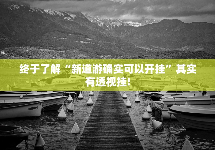 终于了解“新道游确实可以开挂”其实有透视挂!