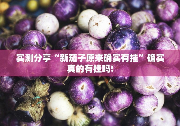 实测分享“新茄子原来确实有挂”确实真的有挂吗!