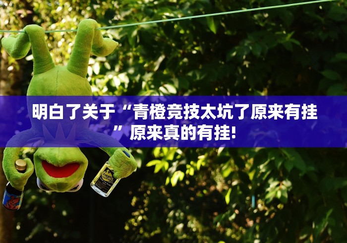 明白了关于“青橙竞技太坑了原来有挂”原来真的有挂!