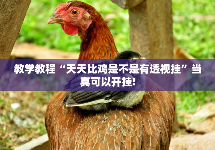 教学教程“天天比鸡是不是有透视挂”当真可以开挂!