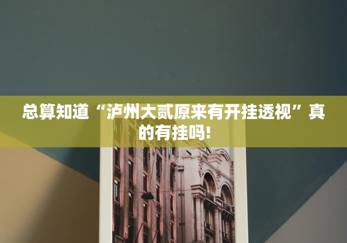 总算知道“泸州大贰原来有开挂透视”真的有挂吗!