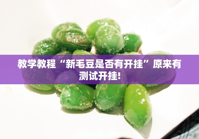 教学教程“新毛豆是否有开挂”原来有测试开挂!