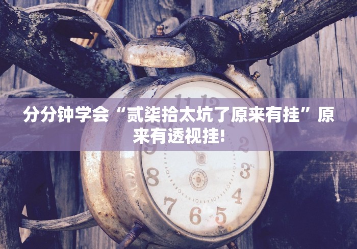 分分钟学会“贰柒拾太坑了原来有挂”原来有透视挂!