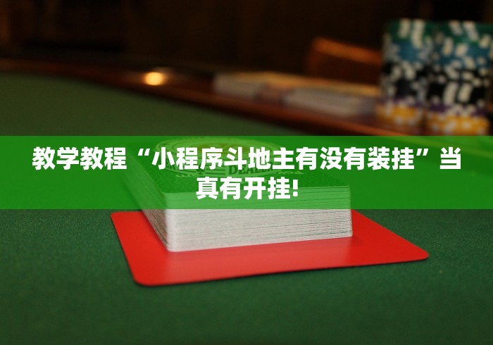教学教程“小程序斗地主有没有装挂”当真有开挂!