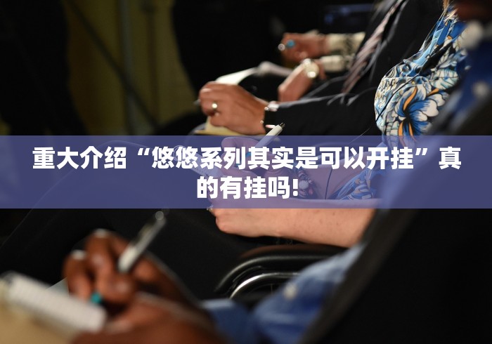 重大介绍“悠悠系列其实是可以开挂”真的有挂吗!