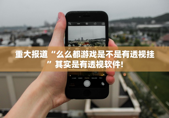 重大报道“么么都游戏是不是有透视挂”其实是有透视软件!